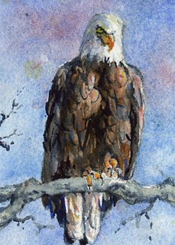 On The Lookout Sally Probasco Madison WI watercolor